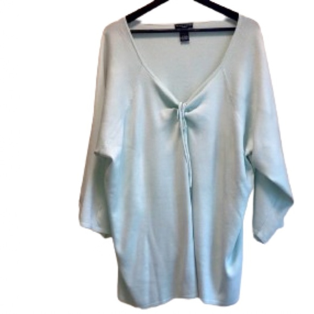 Deane & White long sleeved mint green V-Neck Plus Size Silk Sweater Size 3X